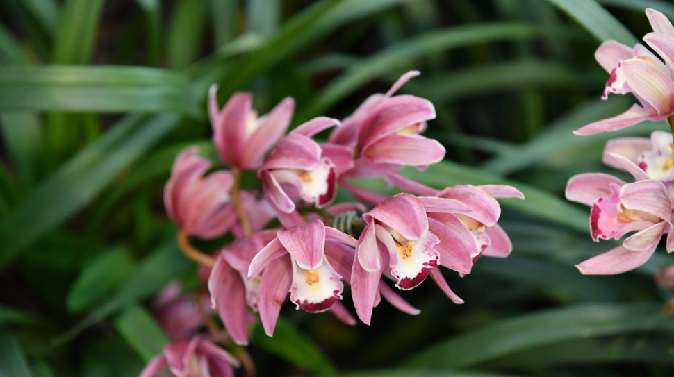 pexels-chente8888-9949214